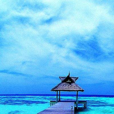 BO半岛综合app安全下载